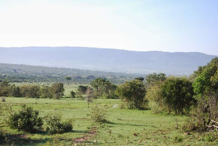 Kenya – picnic in the Maasai Mara National Reserve - The Magic of Traveling